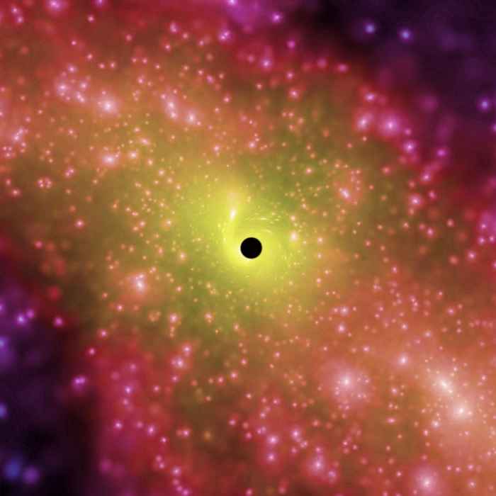 black hole with dark matter