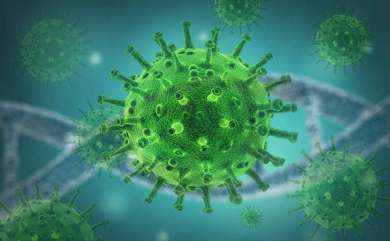 virus