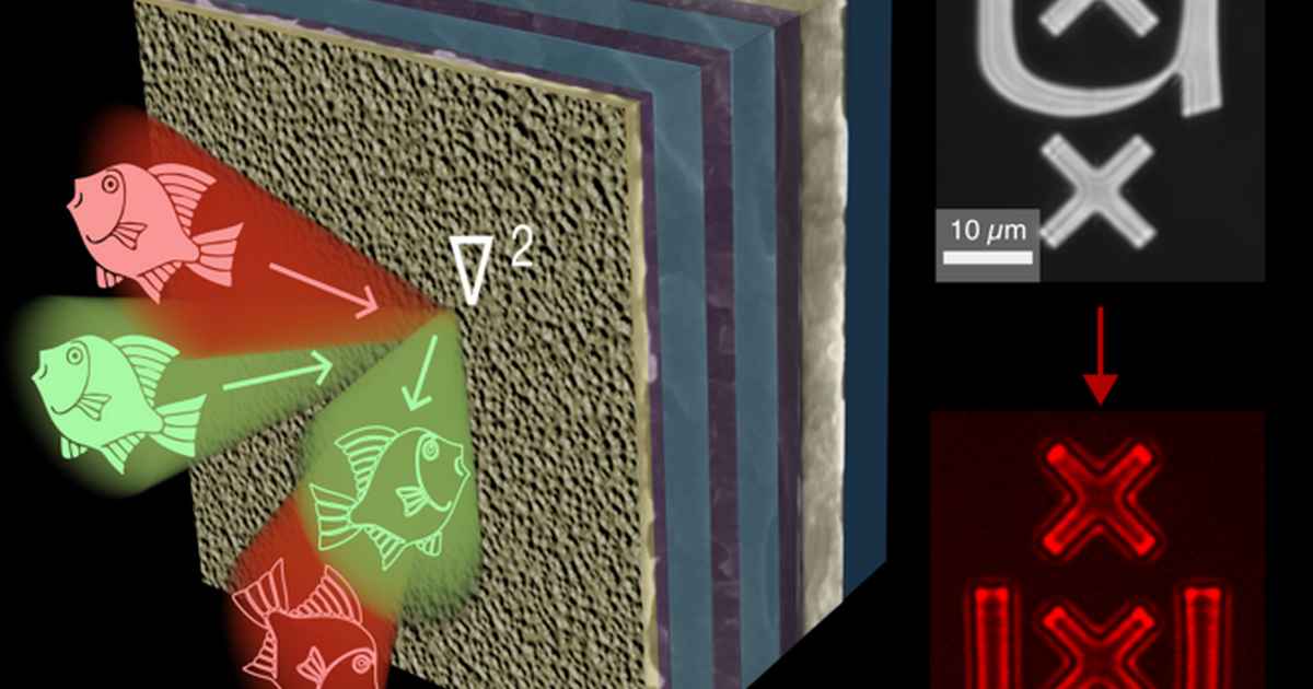 Detecting edges at the speed of light - IoP - University of Amsterdam