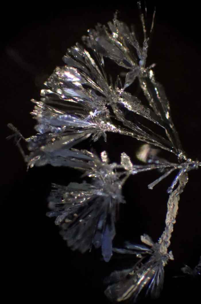 Wetenschap in de Achtertuin